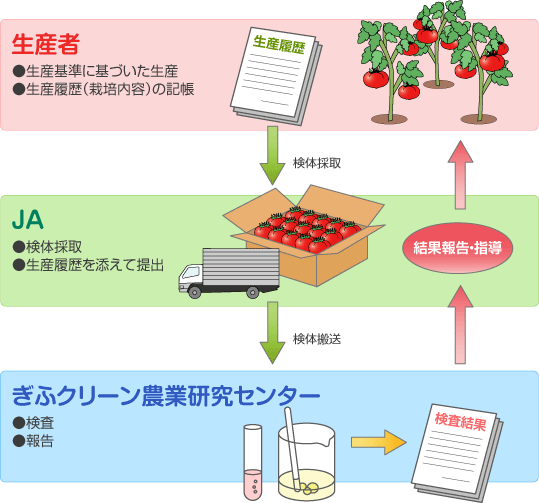 検査の流れ図(生産者が検体を採取し、JAを経由してぎふクリーン農業研究センターへ送ります。検査結果はJAへ報告され、JAから生産者へ報告と指導が行われます)
