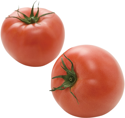 冬春トマトの写真
