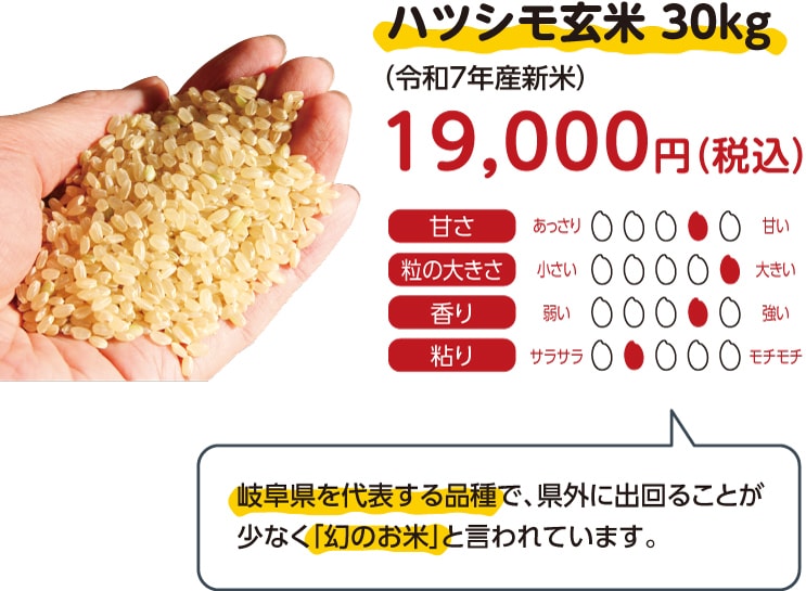 JAにしみの 玄米30kg　ハツシモ 楽天市場】ハツシモ 玄米 30kgの通販
