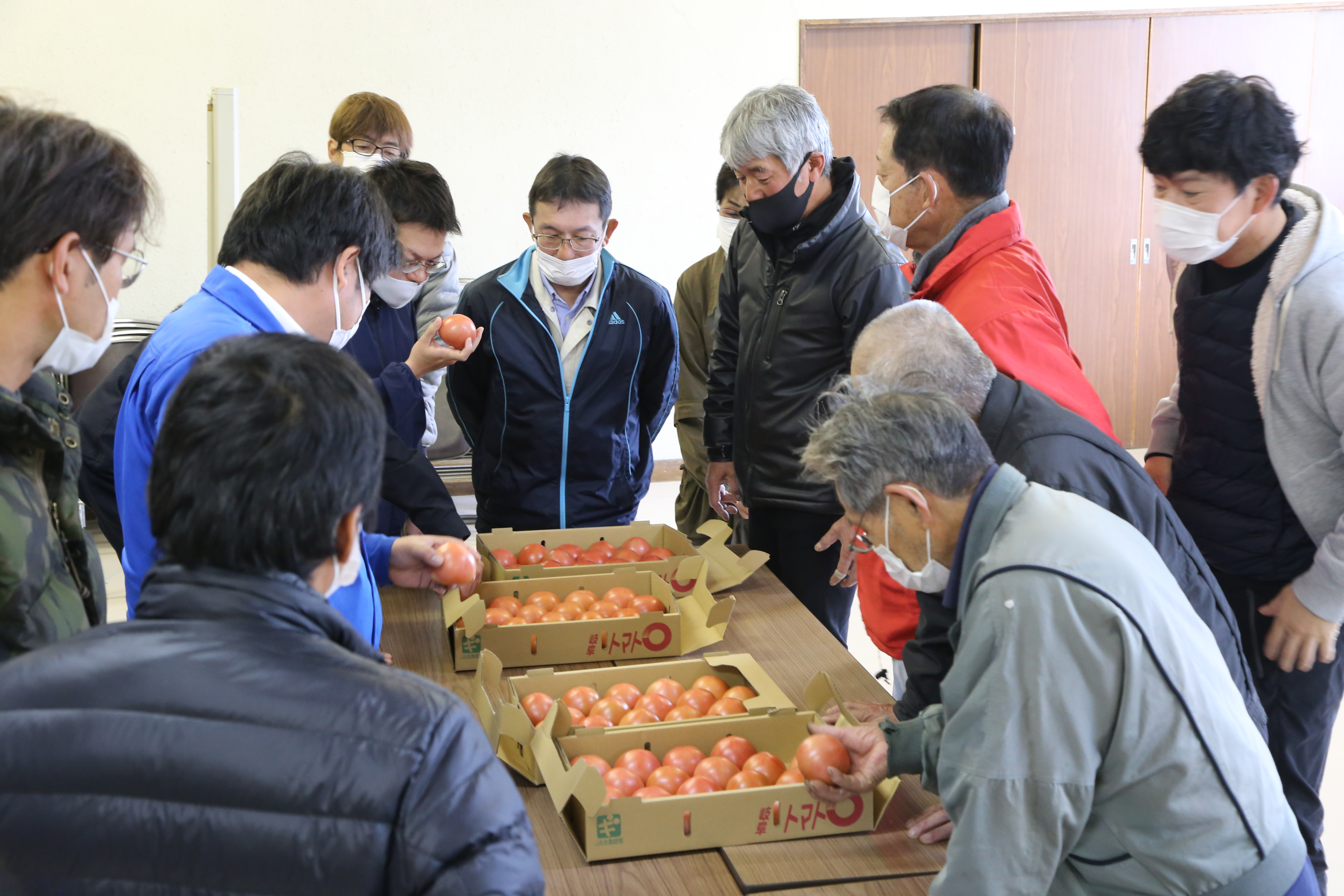 冬春トマト「養老育ち」目揃え会